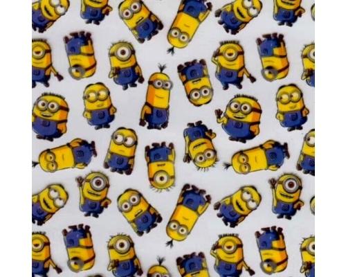 Folia do hydrografiki Minionki